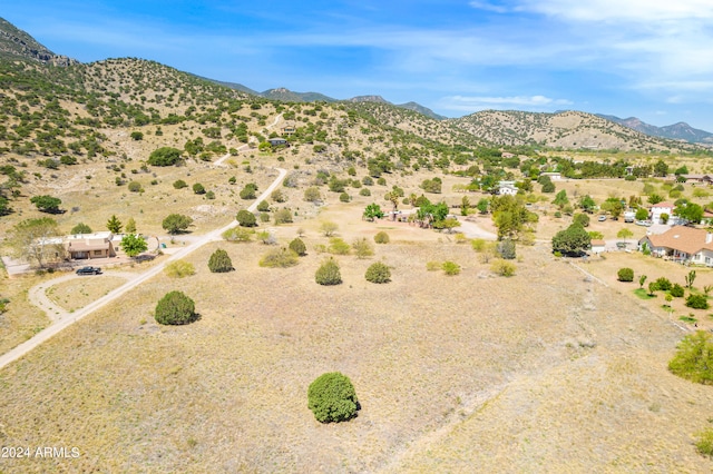 Listing photo 3 for TBD S Apache Rose Trail -, Hereford AZ 85615