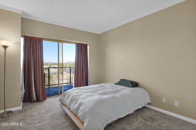 carpeted bedroom featuring access to exterior