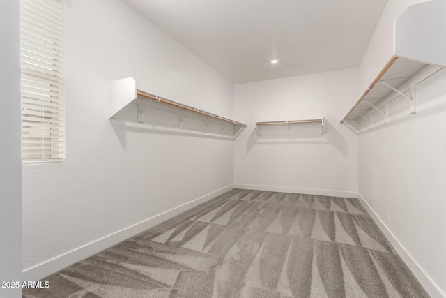 walk in closet featuring carpet flooring