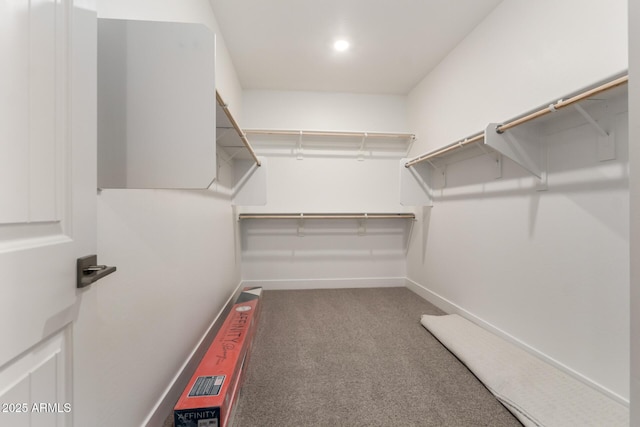 19338 S 212th Pl, Queen Creek, AZ 85142 - walk in closet featuring carpet flooring