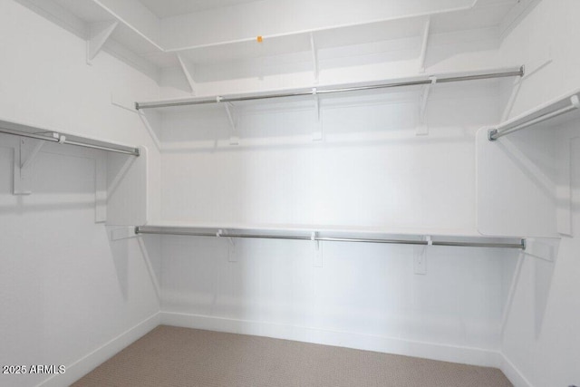 walk in closet with light colored carpet