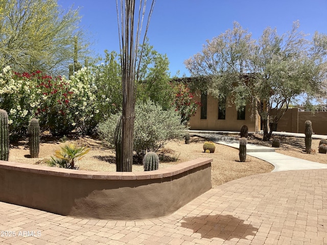 6540 E Wildcat Dr, Cave Creek, AZ 85331 - view of patio / terrace