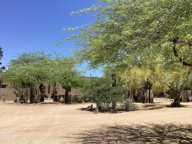 6540 E Wildcat Dr, Cave Creek, AZ 85331 - view of yard