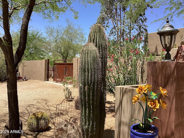 6540 E Wildcat Dr, Cave Creek, AZ 85331 - view of yard featuring a gate