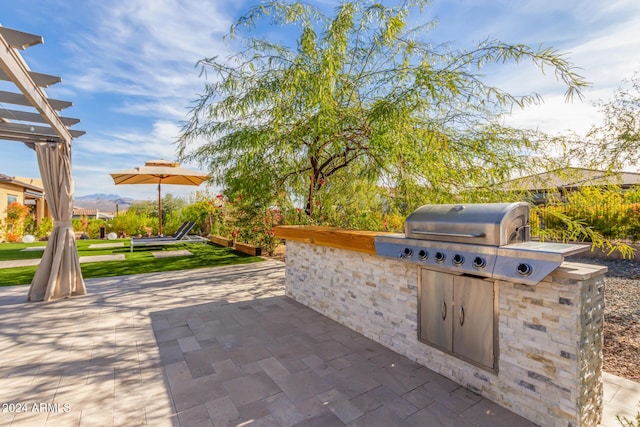 view of patio / terrace featuring area for grilling and a grill