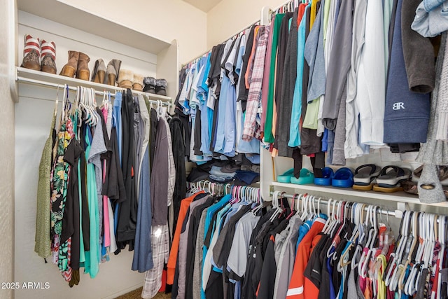 view of spacious closet