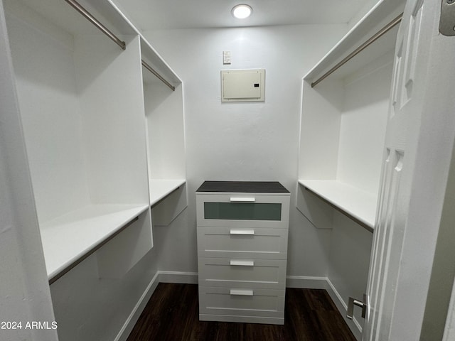 walk in closet with dark hardwood / wood-style flooring