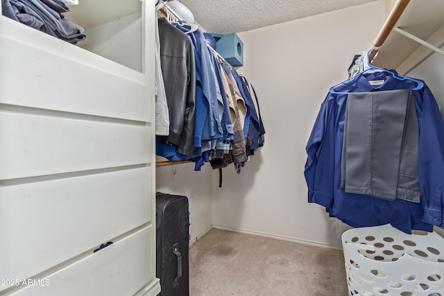 8540 N 43rd Dr, Glendale, AZ 85302 - spacious closet featuring carpet flooring