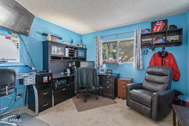 8540 N 43rd Dr, Glendale, AZ 85302 - office space with carpet and a textured ceiling
