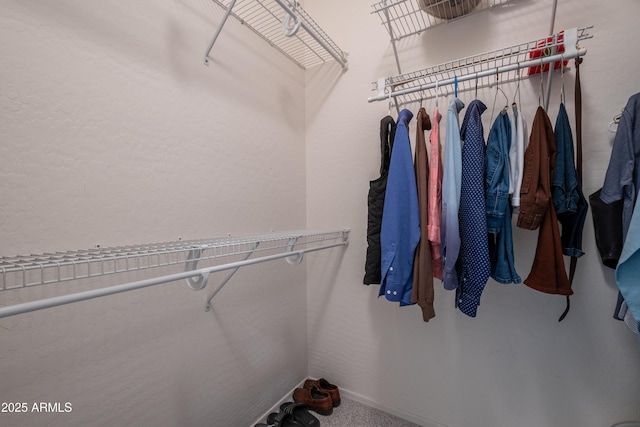 spacious closet with carpet