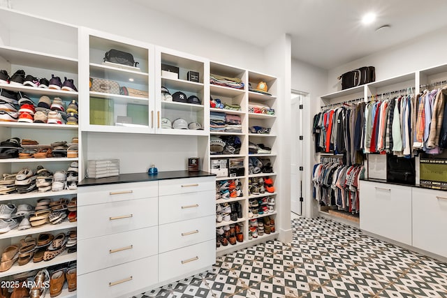 1013 W Ardmore Rd, Phoenix, AZ 85041 - spacious closet featuring light floors