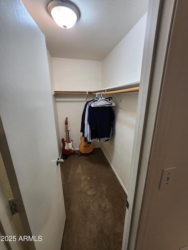 walk in closet with carpet floors