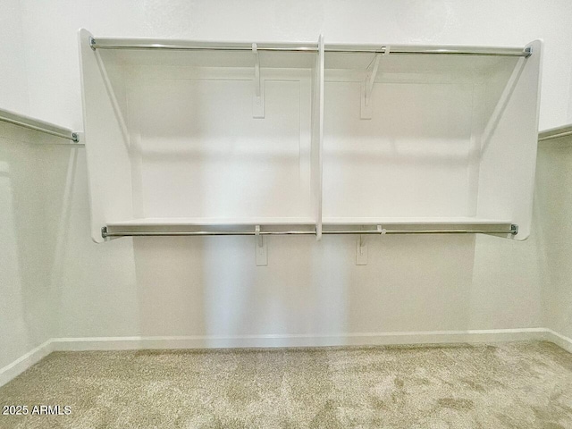 spacious closet featuring light carpet