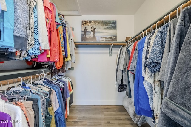 spacious closet with hardwood / wood-style flooring