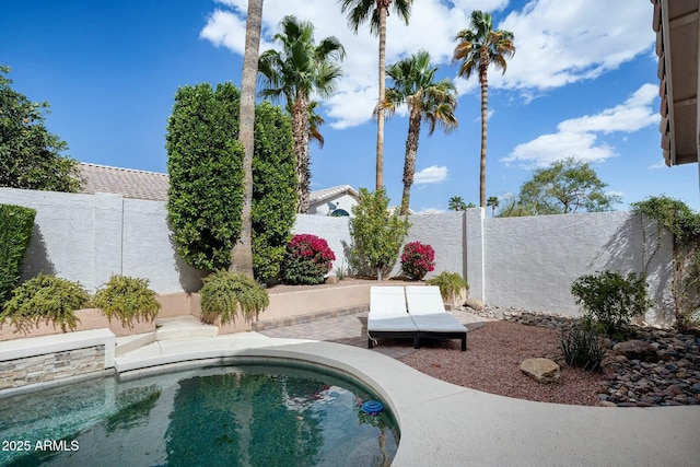 view of swimming pool featuring a patio and a fenced backyard