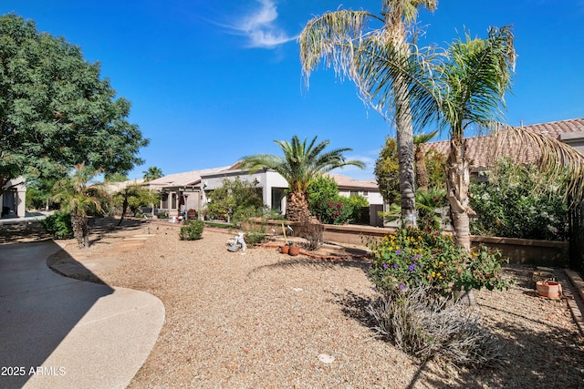 4540 E Mia Ln, Gilbert, AZ 85298 - exterior space