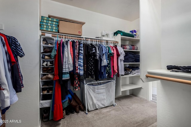 3065 E Harvard Ave, Gilbert, AZ 85234 - spacious closet with carpet floors