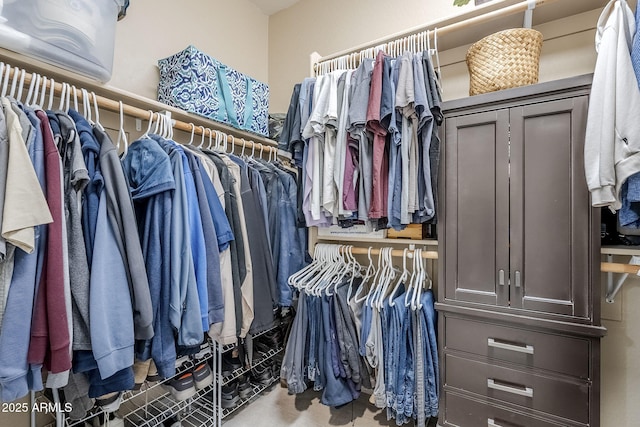 view of walk in closet