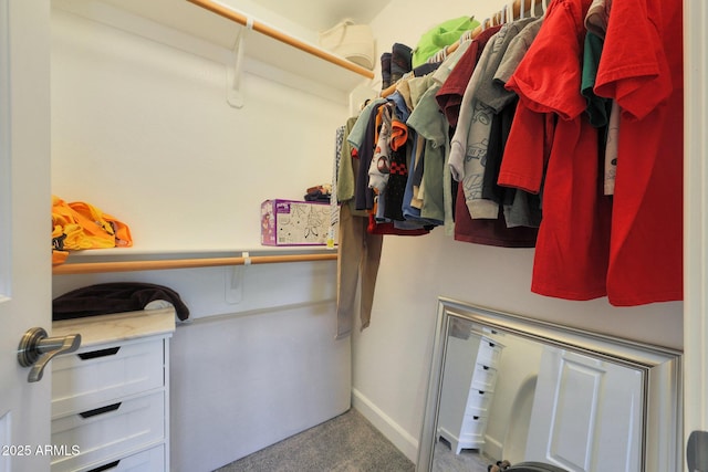 5744 E Jacaranda St, Mesa, AZ 85205 - spacious closet featuring carpet floors