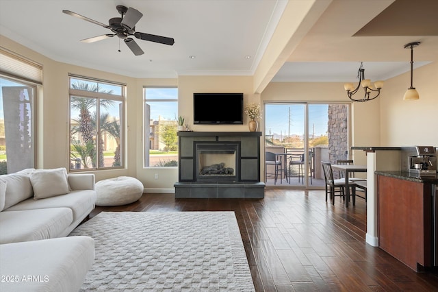 living room featuring dark wood-style flooring, a fireplace, ornamental molding, baseboards, and ceiling fan with notable chandelier