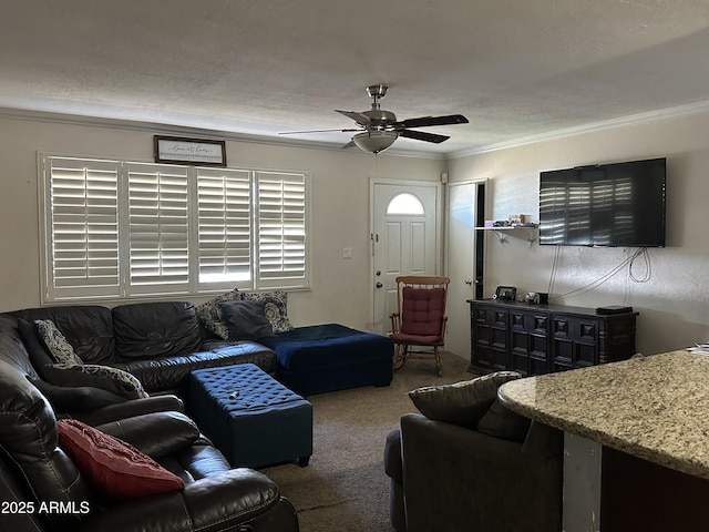 carpeted living room with ceiling fan, ornamental molding, and a textured ceiling