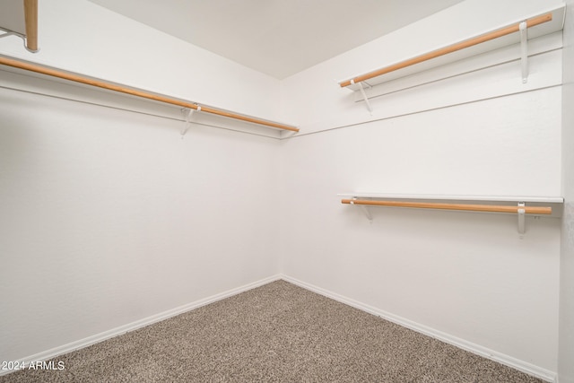 walk in closet featuring carpet