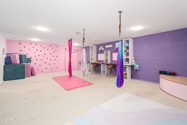 rec room with carpet