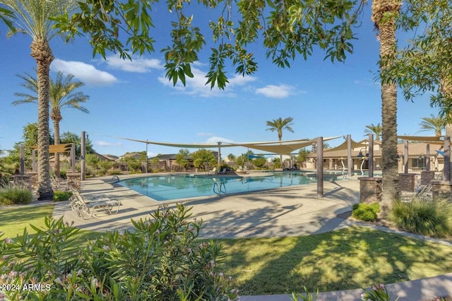 view of swimming pool featuring a patio