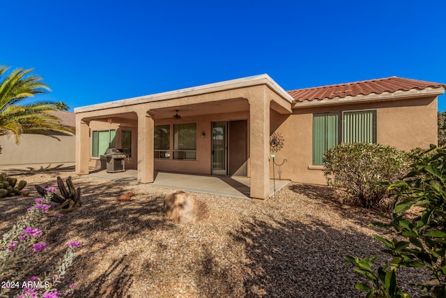 back of house featuring a patio area and ceiling fan