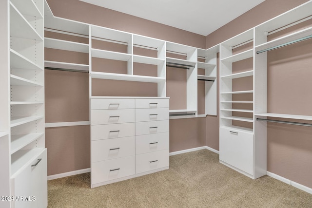 spacious closet with light colored carpet