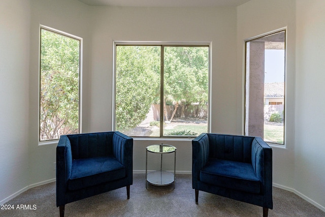 sitting room featuring carpet floors