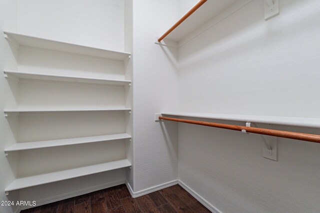 spacious closet with dark hardwood / wood-style floors