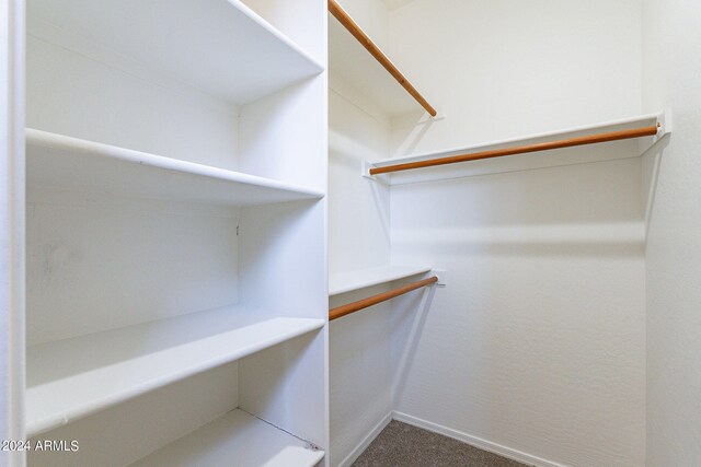 spacious closet featuring carpet floors