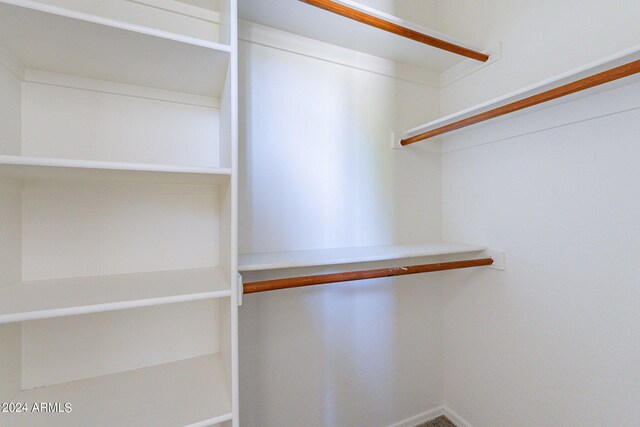 view of walk in closet