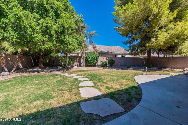 view of yard featuring a patio