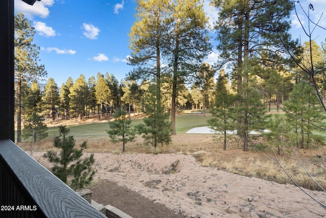 4320 W Arabian Trl, Flagstaff, AZ 86005 - view of yard with view of wooded area