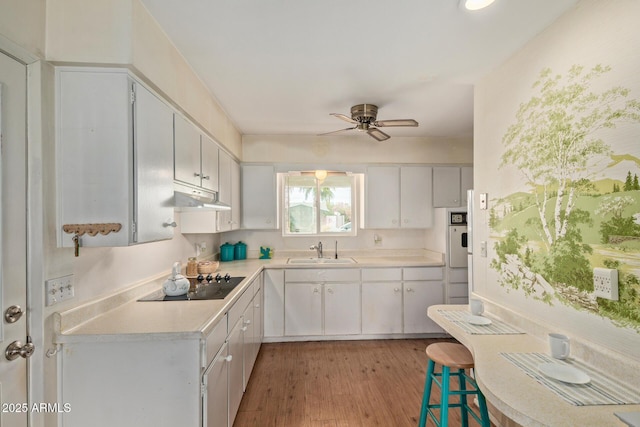 kitchen featuring black electric cooktop, under cabinet range hood, a sink, light countertops, and ceiling fan
