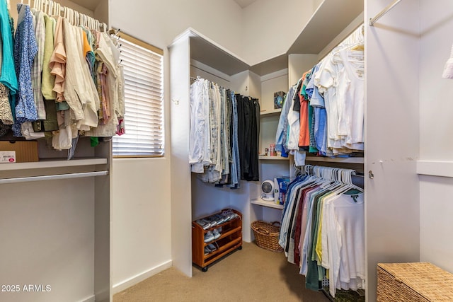 23760 N 80th Way, Scottsdale, AZ 85255 - walk in closet featuring carpet