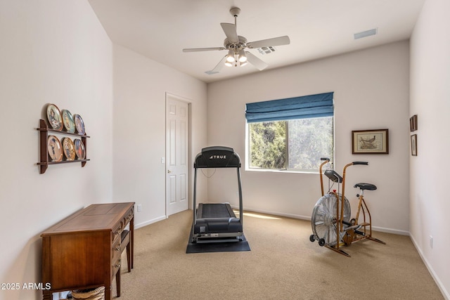 23760 N 80th Way, Scottsdale, AZ 85255 - workout room featuring a ceiling fan, carpet, and baseboards