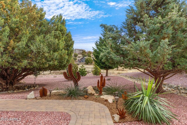 view of yard featuring a patio area