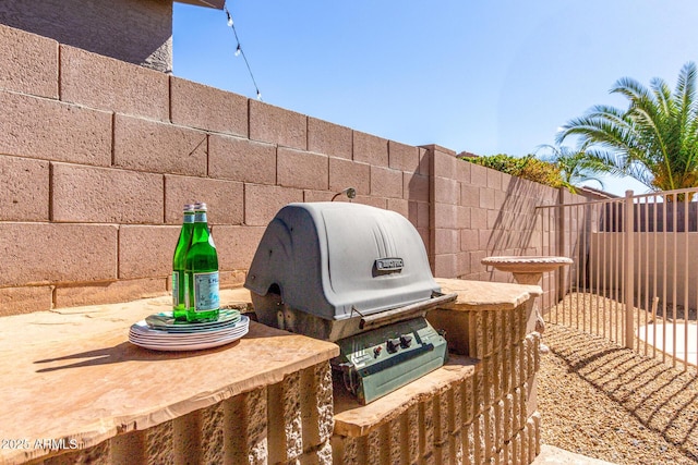 view of patio / terrace with a fenced backyard and area for grilling