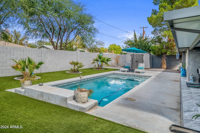 view of swimming pool with a lawn, a storage unit, and a patio area