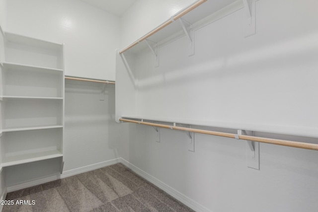 21640 E Roundup Way, Queen Creek, AZ 85142 - walk in closet featuring carpet