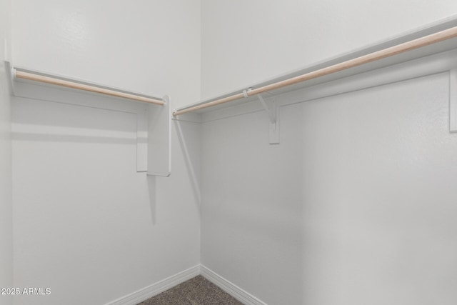 21640 E Roundup Way, Queen Creek, AZ 85142 - walk in closet with carpet floors
