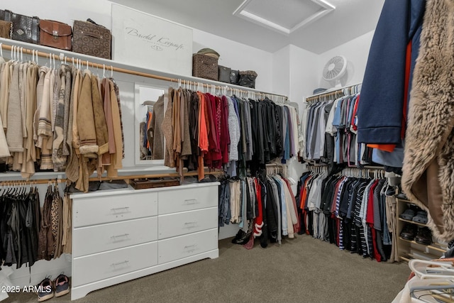 spacious closet with carpet