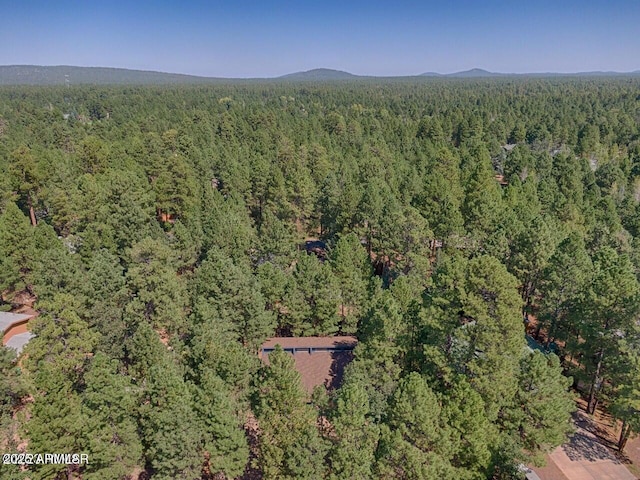 birds eye view of property featuring a mountain view