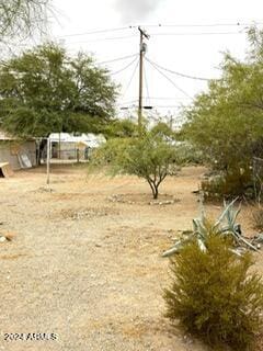 531 W Ocotillo Ave, Ajo, AZ 85321 - view of yard