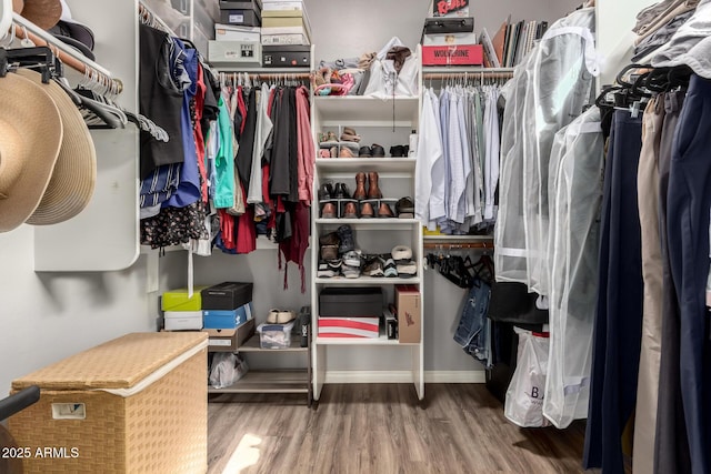 spacious closet featuring wood finished floors