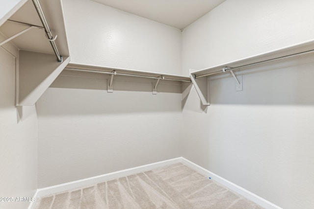 spacious closet featuring carpet floors