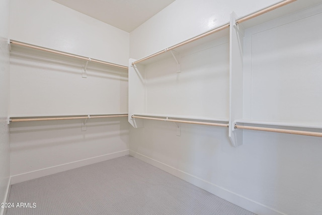 walk in closet with carpet flooring